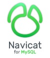 Navicat Data Modeler Enterprise